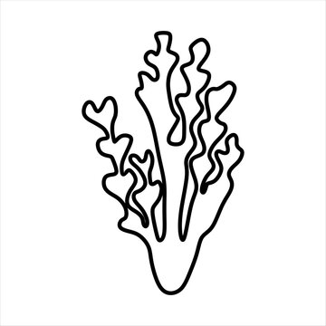 Outline Algae Plant Abstract Vector Element