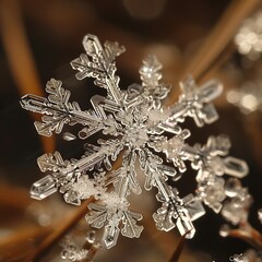 Snowflake pattern in the dark