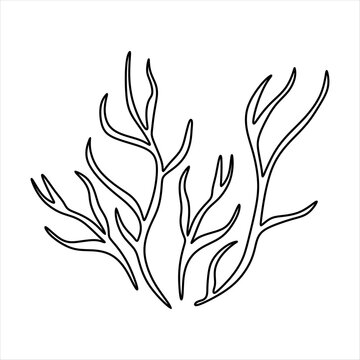 Outline Algae Plant Abstract Vector Element