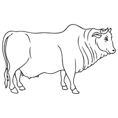 cow line vector illustration