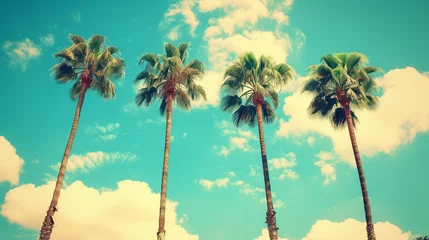 Papier Peint photo Lavable Corail vert A group of tall palm trees swaying gracefully against a clear blue summer sky, retro vintage