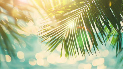 Fototapeta na wymiar The suns dazzling rays shine through the palm leaves, creating a mesmerizing display of light and shadows