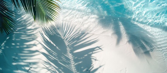 Abstract white sand beach background with palm leaf shadows, sunlight reflecting on the water surface - a beautiful and abstract summer vacation banner idea.