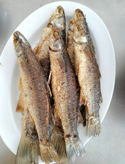 FRIED BELANAK. Fried dry with turmeric seasoning, as Indonesian home dish. Served on a plate. Selective focus.
