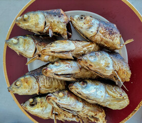 Fried Milkfish, fried dry with turmeric seasoning, as Indonesian home dish. Served on a plate. Selective focus
