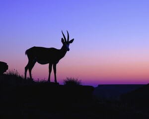 Antelope silhouette at twilight serene colors