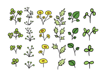 手書き風かわいい植物のゆるいイラスト