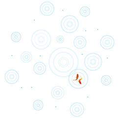 金魚