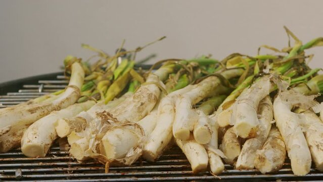 Traditional Spanish catalan green winter onion calcots, spring green season grill barbecue, vegan bbq with fire in Barcelona, Catalonia. Close up of grilling green onion.