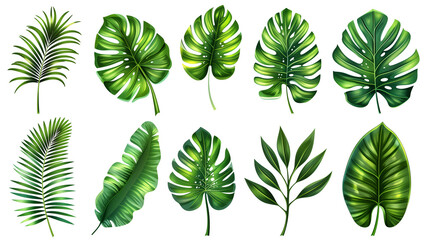 Fototapeta na wymiar set of green leaves, tropical leaves on white