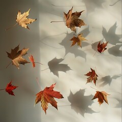 Depict the transient nature of falling leaves , soft shadowns