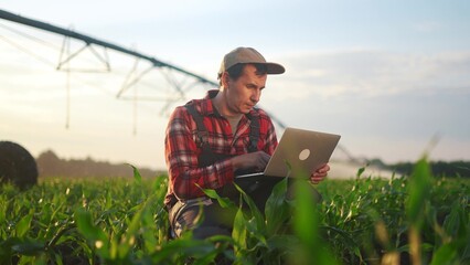 corn agriculture. a male farmer works on a laptop in a field with green corn sprouts. lifestyle corn is watered by irrigation machine. irrigation agriculture business concept - 767554000