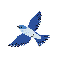 vector drawing flying mountain bluebird, hand drawn Sialia currucoides, isolated nature design element