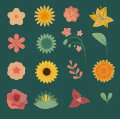 Rolgordijnen Flowers and leaves in garden, icons, flat cartoons decoraciones florales  © FarfanNava