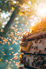 Close-up of intricate beehive with vibrant honeycombs in sunlit setting