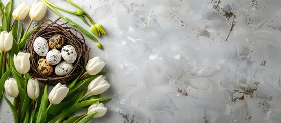 White tulips and colorful quail eggs in a nest on a light gray stone background create a Spring and Easter theme with room for text. - obrazy, fototapety, plakaty