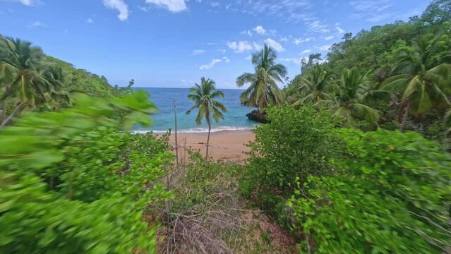 Fpv Aerial approaching shot of tropical trees with exotic beach and walking pretty woman - playa onda, Dominican Republic 