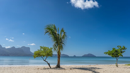 Palm trees, deciduous, grow on the shore of the turquoise ocean. Calm water, foam on a sandy beach, mountains against a blue sky and clouds. Serenity. An idyll. Philippines. Palawan. El Nido