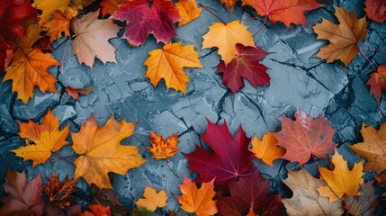 Fallen Beauty: Colorful Autumn Leaves Scattered on the Ground