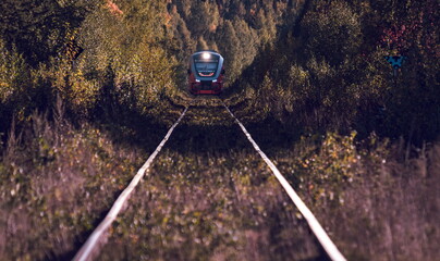 Front view of a train going through the forest. A train among the trees.