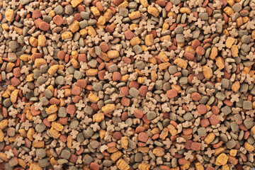 Collect dog and cat snacks