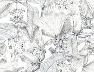 Seamless tropical pattern with exotic monochrome leaves and plants. Tropical wallpaper drawn in pencil