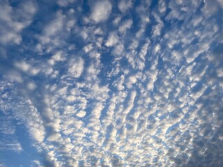 Wool clouds and blue skies