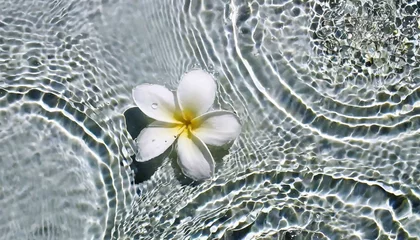 Stof per meter flower in water © Y_Stock