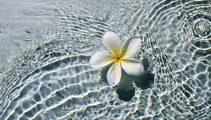 Foto auf Leinwand flower in water © Y_Stock