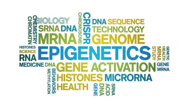 Epigenetics animated word cloud;text design animation tag kinetic typography seamless loop.