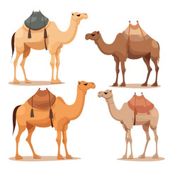 Camel Set cartoon vector illustration isolated back
