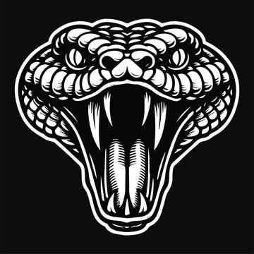 Dark Art Viper Snake Beast Angry Head Black and White Illustration