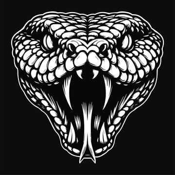 Dark Art Viper Snake Beast Angry Head Black and White Illustration