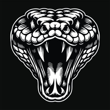 Dark Art Viper Snake Beast Angry Head Black and White Illustration