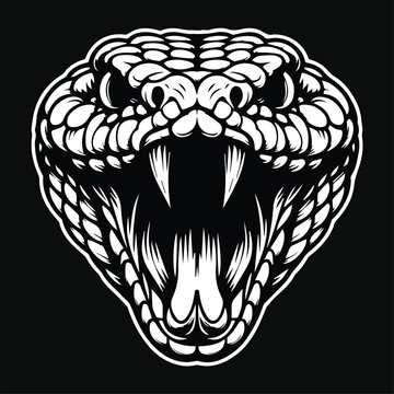 Dark Art Viper Snake Beast Angry Head Black and White Illustration