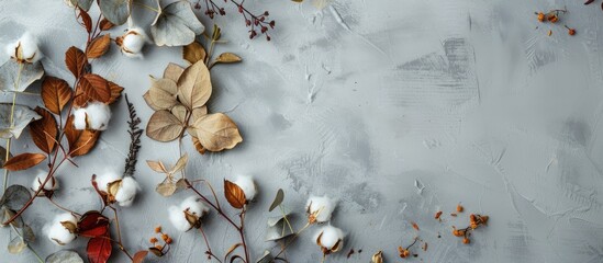 Eucalyptus branches, cotton flowers, and dried leaves arranged on a pastel grey background in a composition depicting autumn. Flat lay view with copy space.