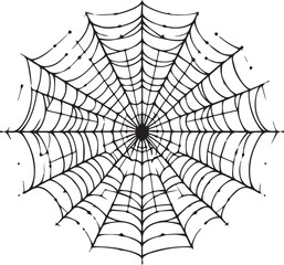 Obraz premium Spider Web Vector