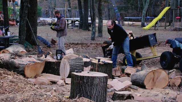 Two men picking or collecting processed oak wood into trailer to transfer firewood into woodshed or storage.