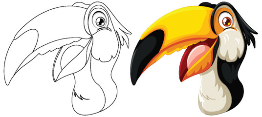Fototapeta premium Vector art of a toucan, before and after coloring.