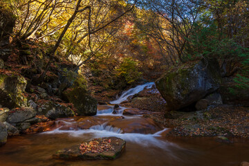 日本の風景　秋の長野　紅葉見頃の横谷渓谷（横谷峡）