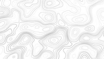Topographic map background. Linear map. Vector Image. Abstract vector illustration. 