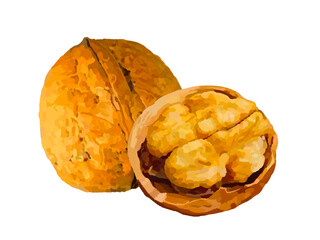 クルミ（殻付き）