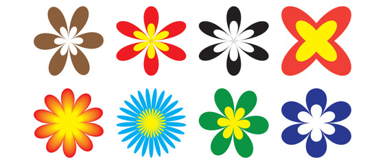 Colorful daisy flower. Daisy flowers. Set of flowers.  Daisy flower vector. Pattern with daisies. Flat lay, top view. Floral pattern, object .
