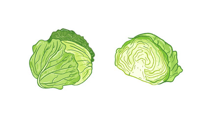 Whole and half raw cabbage