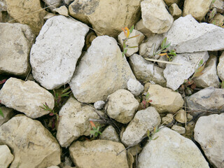 The texture of large stones. View from above
