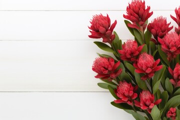 Red Ginger Flowers on White Wooden Background - obrazy, fototapety, plakaty