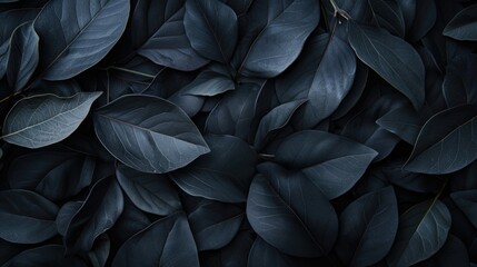 Dark botanical leaves background texture.