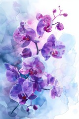 Background with watercolor orchid flowers  