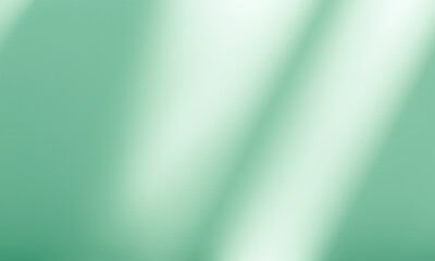 Fototapeta premium horizontal studio background with nature shadow