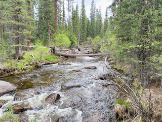 Fototapeta na wymiar A mountain river amidst the forest. Natural photo wallpaper.